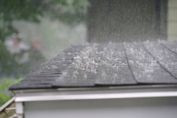 Best Gutter Installation and Repair  in Malta, MT