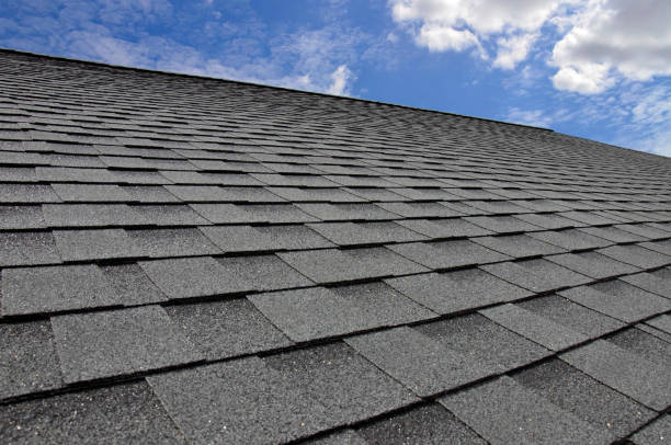 Best Solar Panel Roofing Installation  in Malta, MT