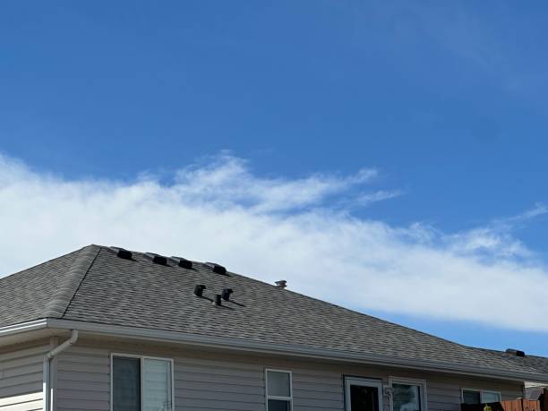 Best Roof Leak Repair  in Malta, MT